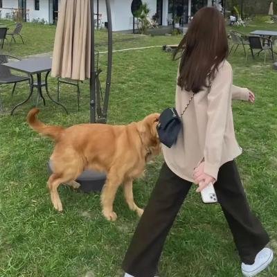 丑人儿