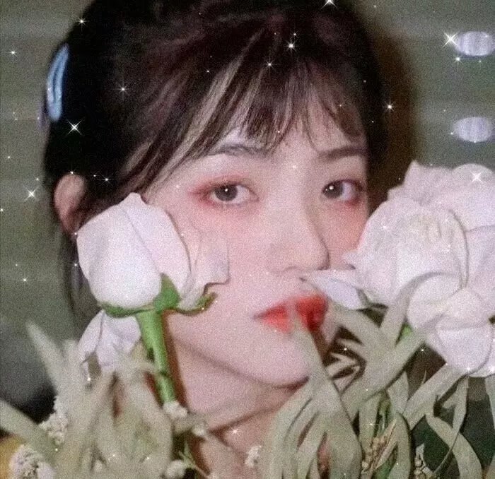失落的部族
